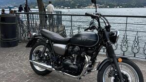 Kawasaki W 800 (2021 - 25)