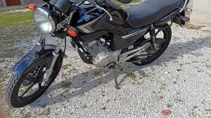 Yamaha YBR 125 (2005 - 09) 