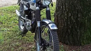 Triumph   (2)