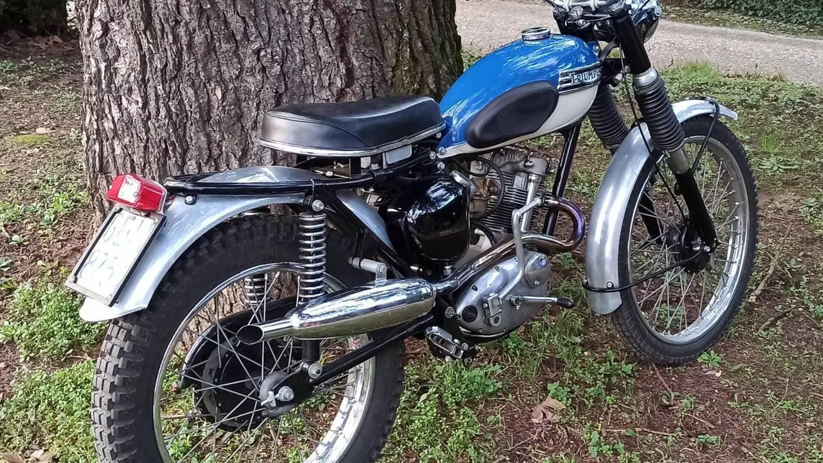 Triumph   (3)