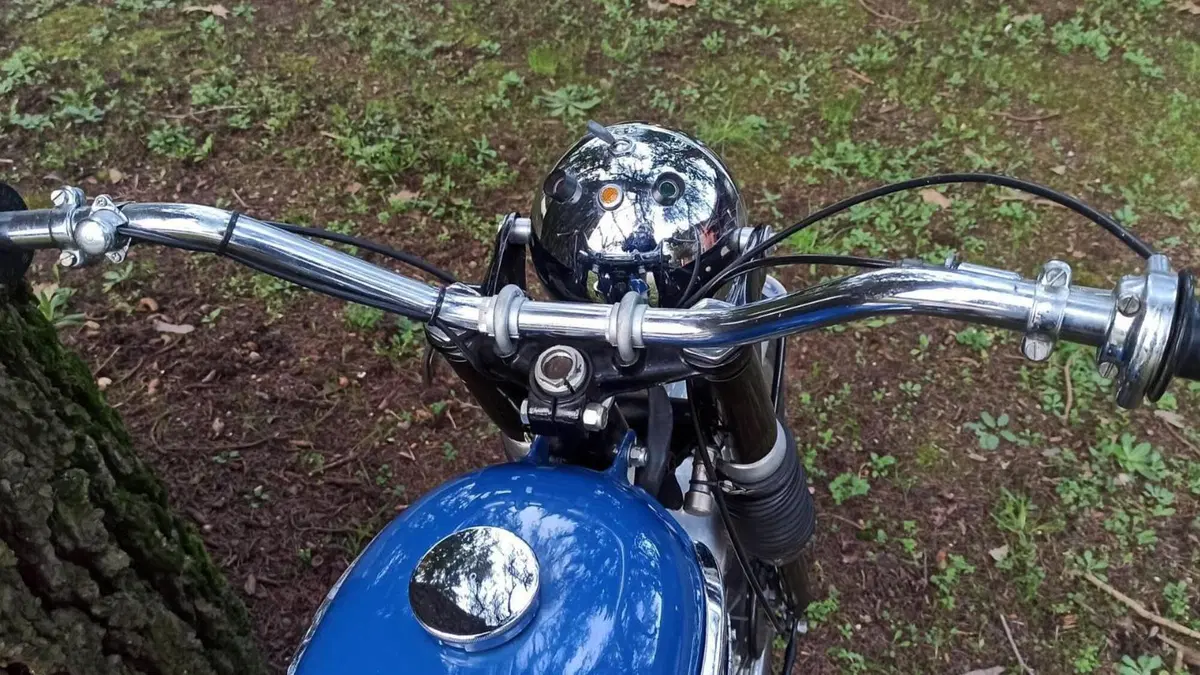Triumph   (4)