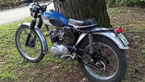 Triumph   (5)