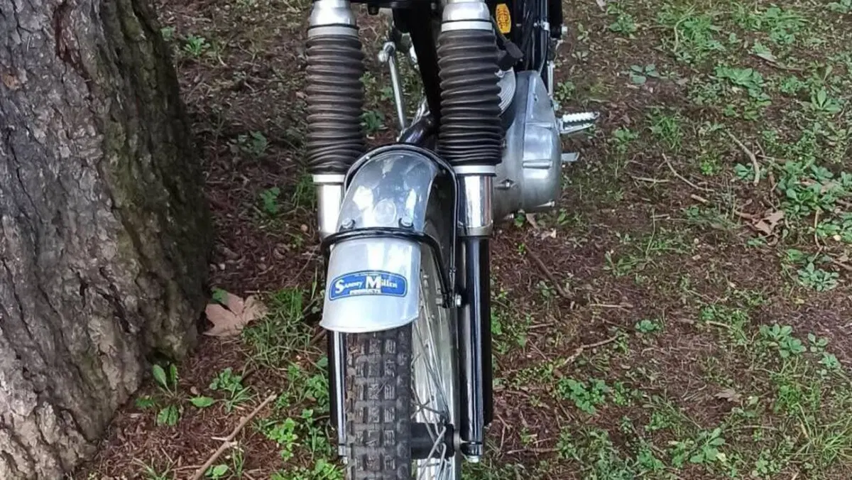 Triumph   (6)