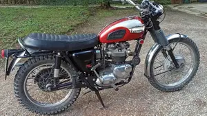 Triumph   (4)