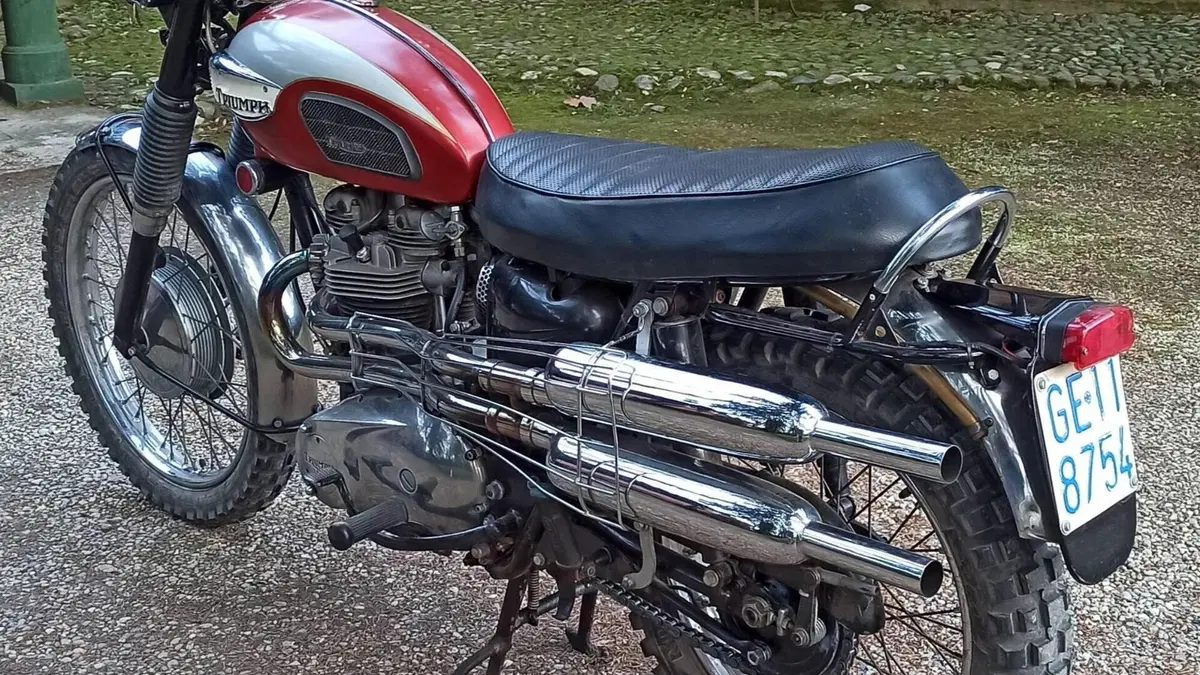 Triumph   (6)