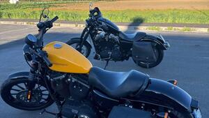 Harley-Davidson 883 Iron (2009 - 11) - XL 883N 