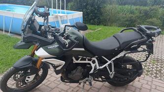 Triumph Tiger 900 Rally (2020 - 23) usata