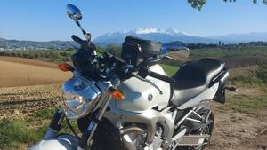 Yamaha FZ6 (2004 - 07) 