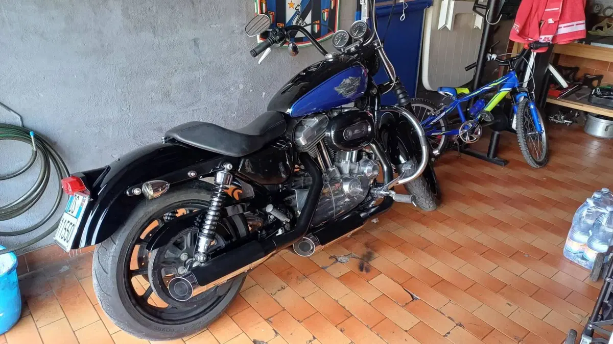 Harley-Davidson 883 Low (2008 - 12) - XL 883L  (3)