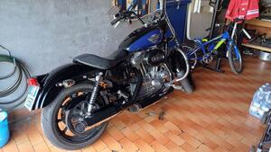 Harley-Davidson 883 Low (2008 - 12) - XL 883L 