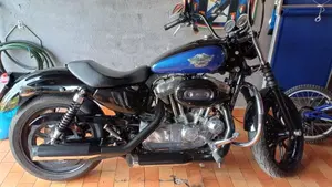 Harley-Davidson 883 Low (2008 - 12) - XL 883L  (4)