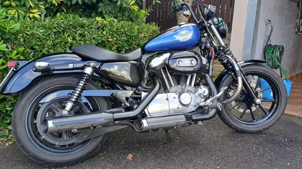 Harley-Davidson 883 Low (2008 - 12) - XL 883L  (6)