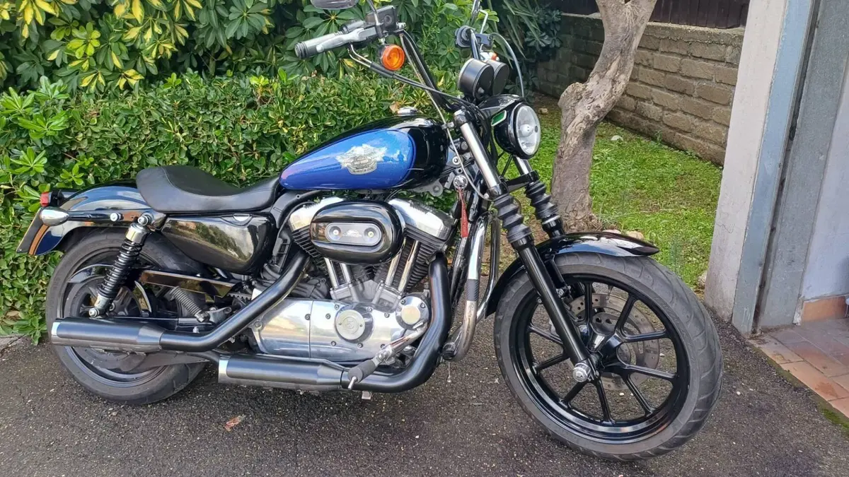 Harley-Davidson 883 Low (2008 - 12) - XL 883L  (7)