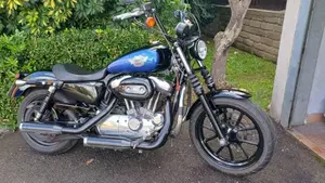 Harley-Davidson 883 Low (2008 - 12) - XL 883L  (7)