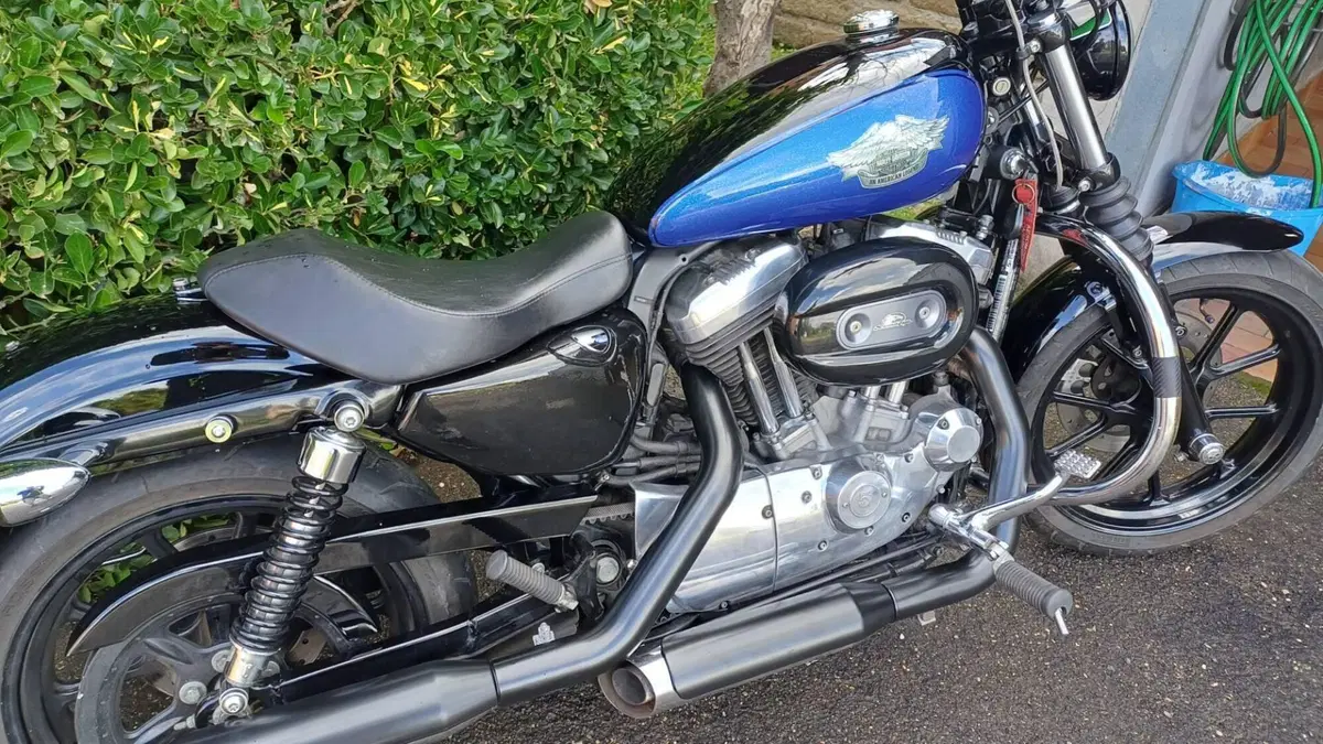 Harley-Davidson 883 Low (2008 - 12) - XL 883L  (8)