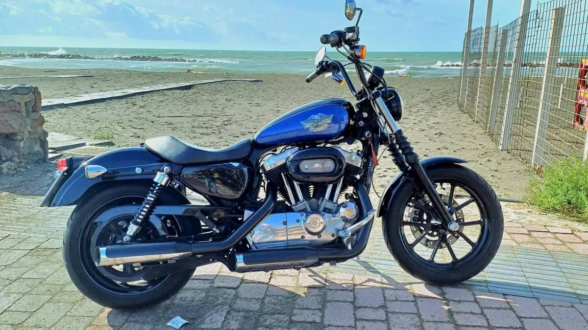 Harley-Davidson 883 Low (2008 - 12) - XL 883L  (2)