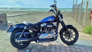Harley-Davidson 883 Low (2008 - 12) - XL 883L  (2)