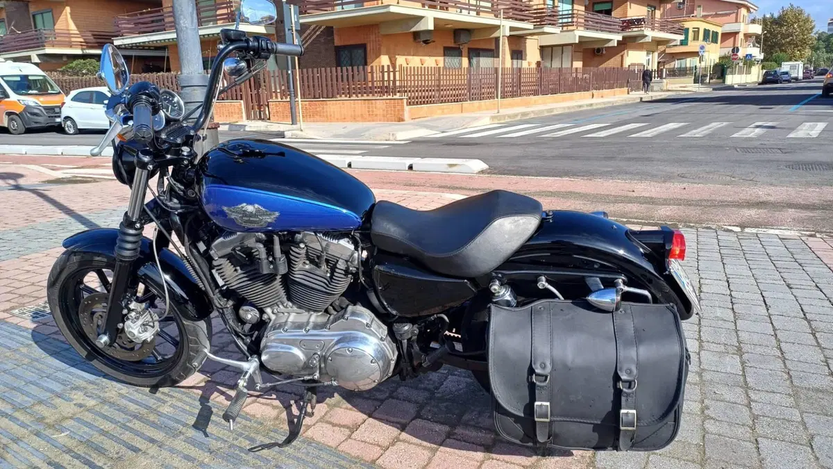Harley-Davidson 883 Low (2008 - 12) - XL 883L  (9)
