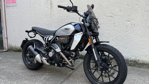 Ducati Scrambler 800 Icon (2023 - 25) 