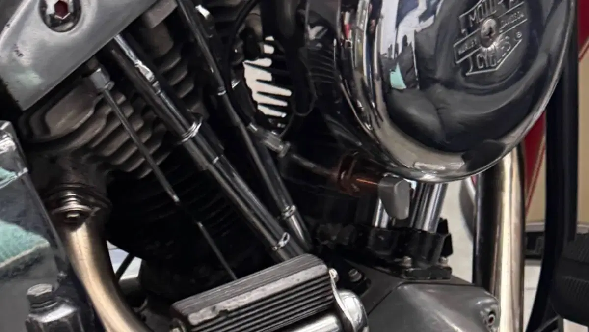 Harley-Davidson   (4)