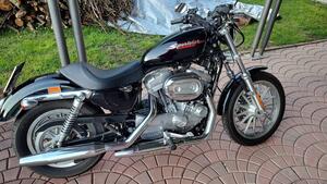 Harley-Davidson 883 Standard (2001 - 05) - XL 883 