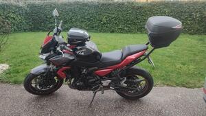 Kawasaki Z 650 (2021 - 24) 