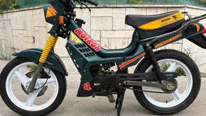 Motron GTO 50 Flash 