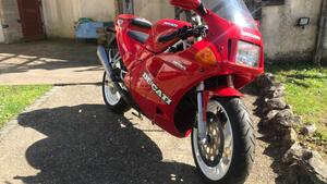 Ducati  