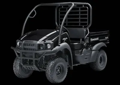  Altre moto o tipologie Quad - Annuncio 9676015