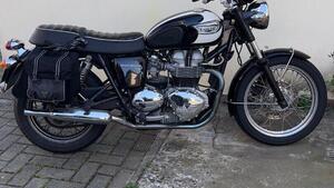 Triumph Bonneville T100 (2001 - 07) 