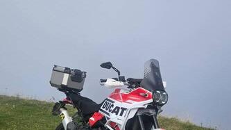 Ducati DesertX (2022 - 25) usata