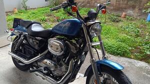 Harley-Davidson 883 (2006 - 07) - XL 