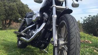 Harley-Davidson 883 Standard (2001 - 05) - XL 883 usata