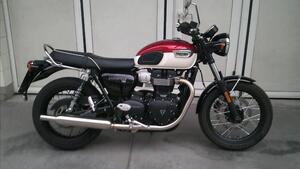 Triumph Bonneville T100 (2021 - 25)