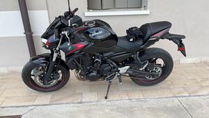 Kawasaki Z 650 (2021 - 24) 