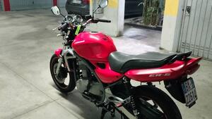 Kawasaki ER-5 500 (2001 - 06) 