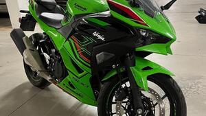 Kawasaki Ninja 500 SE (2024 - 25) 