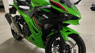 Kawasaki Ninja 500 SE (2024 - 25) usata