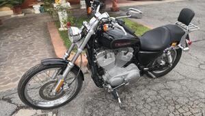 Harley-Davidson 883 Custom (2008 - 12) - XL 883C 