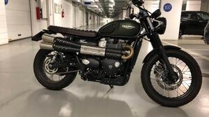 Triumph Street Scrambler 900 (2017 - 18) 