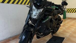 Kawasaki ER-6N ABS (2012 - 16) 