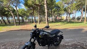 Benelli Leoncino 250 (2021 - 25) 