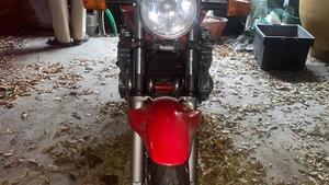 Suzuki GSF 600 Bandit (1995 - 99) 