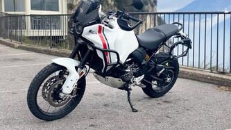 Ducati DesertX (2022 - 25) usata