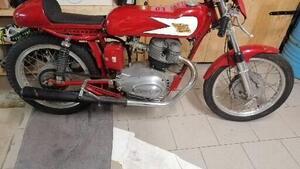 Moto Morini  