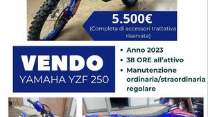 Yamaha YZ 250 F (2023)