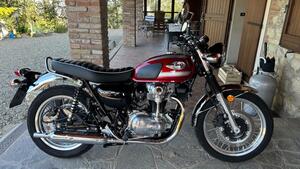 Kawasaki W 800 (2021 - 25) 