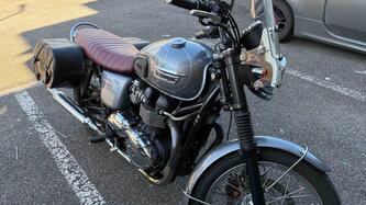 Triumph Bonneville T100 (2008 - 16) usata