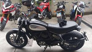Ducati Scrambler 800 Icon (2015 - 16) 