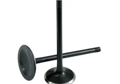 Valvola di aspirazione KPMI Black Diamond per Spor Kibblewhite - Annuncio 9680338